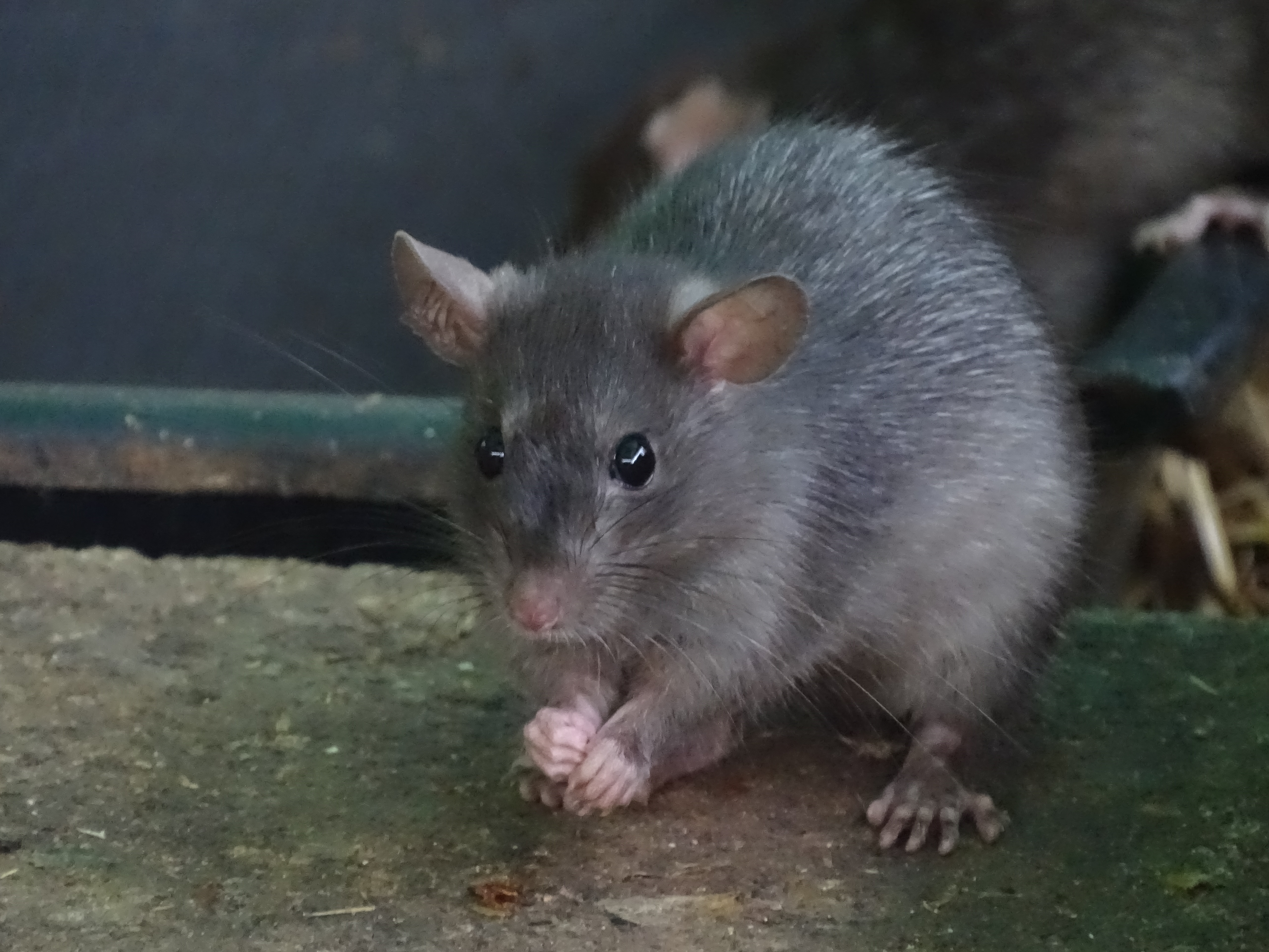 Tests biocides industriels CRYTA